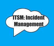 Incident Management logo