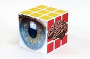 cube with brain and eye photos
